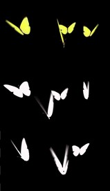 4K飞舞的黄色蝴蝶