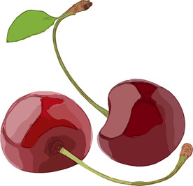 樱桃 矢量手绘素材