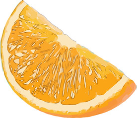 橙 矢量手绘素材