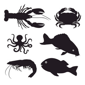 手绘海洋生物剪影轮廓插画设计