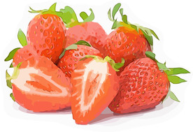 草莓 矢量手绘素材