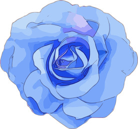 蓝色妖姬 矢量手绘素材