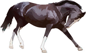 马 矢量手绘素材