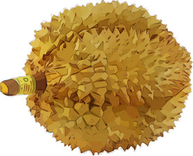 榴莲 矢量手绘素材