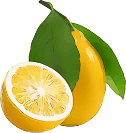 柠檬 矢量手绘素材图