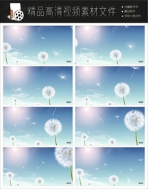 2018唯美蒲公英舞台视频素材