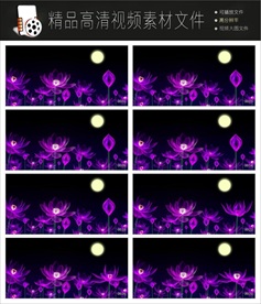 唯美浪漫迷幻欧式紫色花朵视频