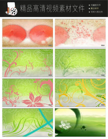 唯美水墨视频绿色自然生态