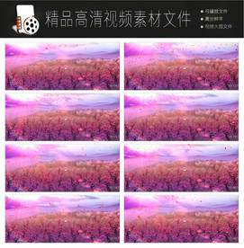 唯美浪漫迷幻欧式紫色花朵视频