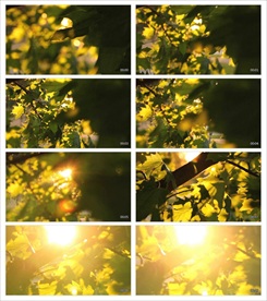 新农村农业建设视频素材