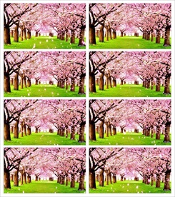 漫山遍野花草舞动视频素材