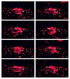 唯美梦幻朦胧光点光晕转场空镜头