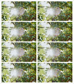 新农村农业建设视频素材