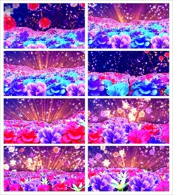 唯美梦幻朦胧光点光晕转场空镜头