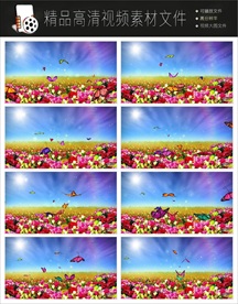 漫山遍野花草舞动视频素材