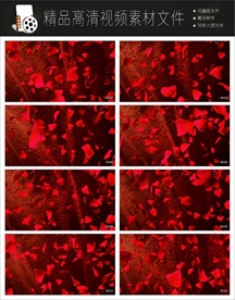 漫山遍野花草舞动视频素材