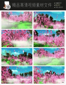 漫山遍野花草舞动视频素材