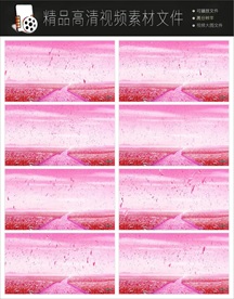 新农村农业建设视频素材