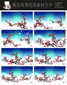 MPG红梅花开戏曲演艺梅花