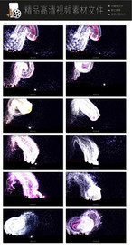 唯美动态暖场视频LED视频