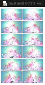 唯美动态暖场视频LED视频