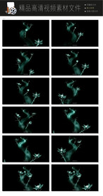 炫酷三维分离色彩专场LED视频