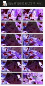 唯美梦幻朦胧光点光晕转场空镜头