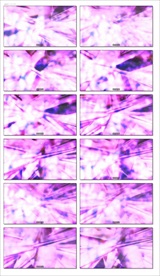 唯美大气婚礼背景视频粒子星空光