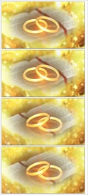 高清浪漫婚礼片头戒指视频