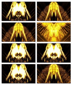金色粒子凤凰LED视频素材