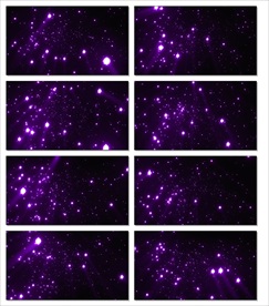 镜头光效前景遮罩特效转场视频