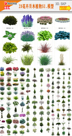 花卉植物SU模型