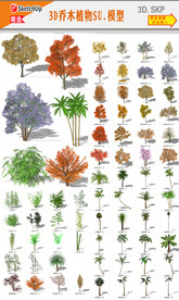 园林灌木植物模型