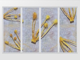 唯美大气简约金箔手绘植物移门