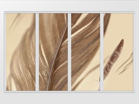 现代简约温馨浪漫羽毛移门