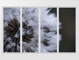 现代简约唯美质感晨露蒲公英移门