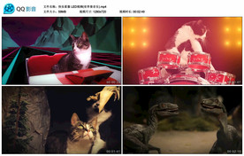 快乐星猫 舞台大屏幕背景视频