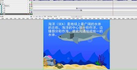 介绍海洋的动画30秒