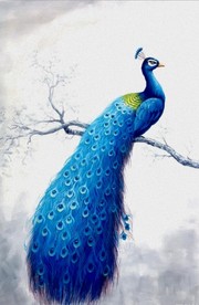 孔雀玄关中式玄关屏风背景底纹素