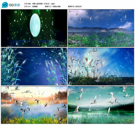 鸿雁 LED舞台大屏幕背景视频