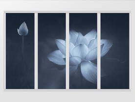 现代简约大气夏日荷花池塘移门