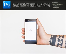 高档唯美意境VI样机一键贴图