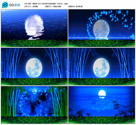 月光下的凤尾竹 舞台背景视频