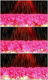 牡丹花粒子LED视频动态背景