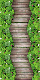 小路三叶草地毯 循环图