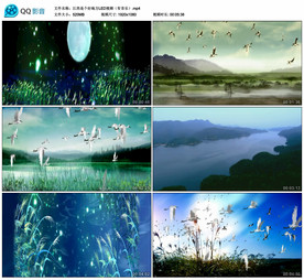 江西是个好地方 舞台背景视频