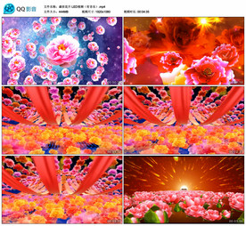 盛世花开 舞台大屏背景视频成品