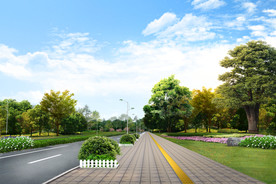 绿化设计 景观设计