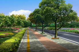 道路景观 道路绿化
