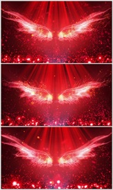 红色翅膀羽毛婚庆婚宴LED动态